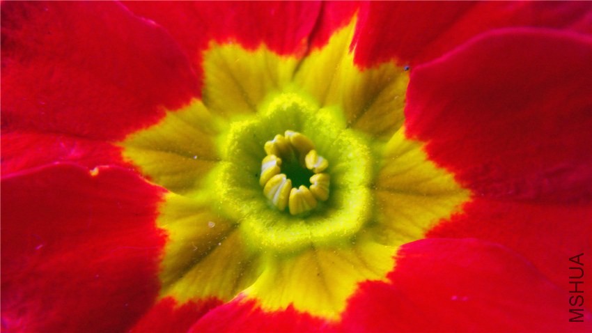 S73F2131.jpg