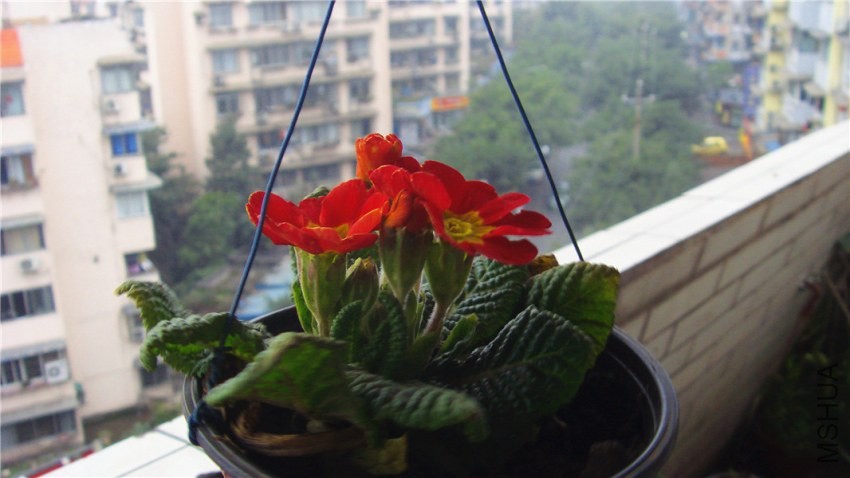 S73F2133.jpg