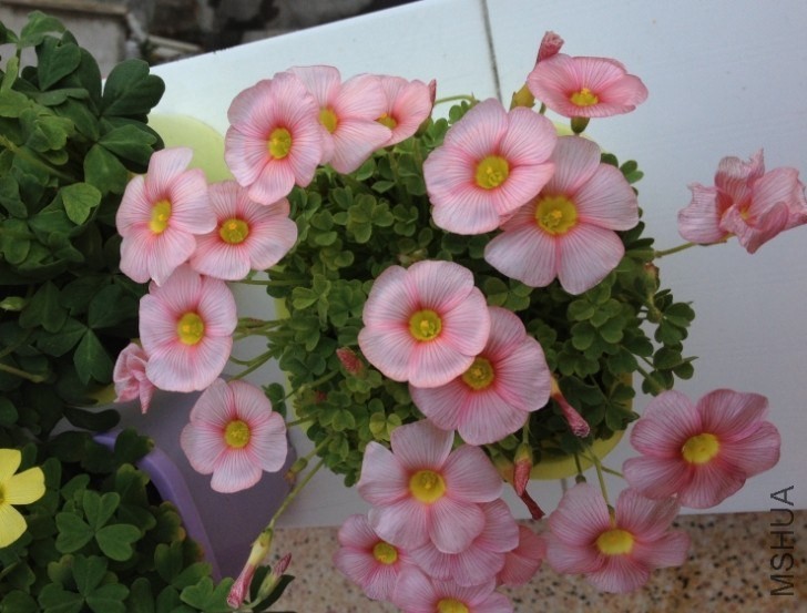 QQͼƬ20140205195640.jpg