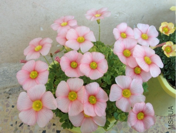 QQͼƬ20140205195643.jpg