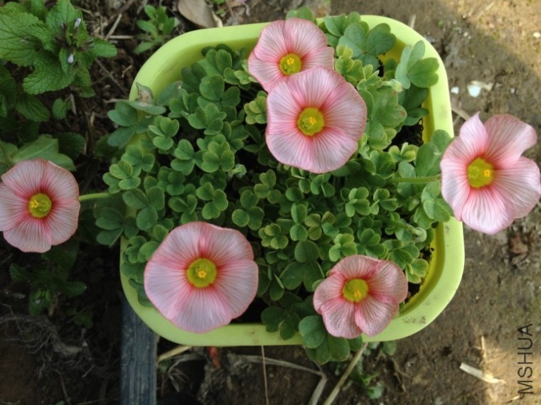 QQͼƬ20140205195630.jpg
