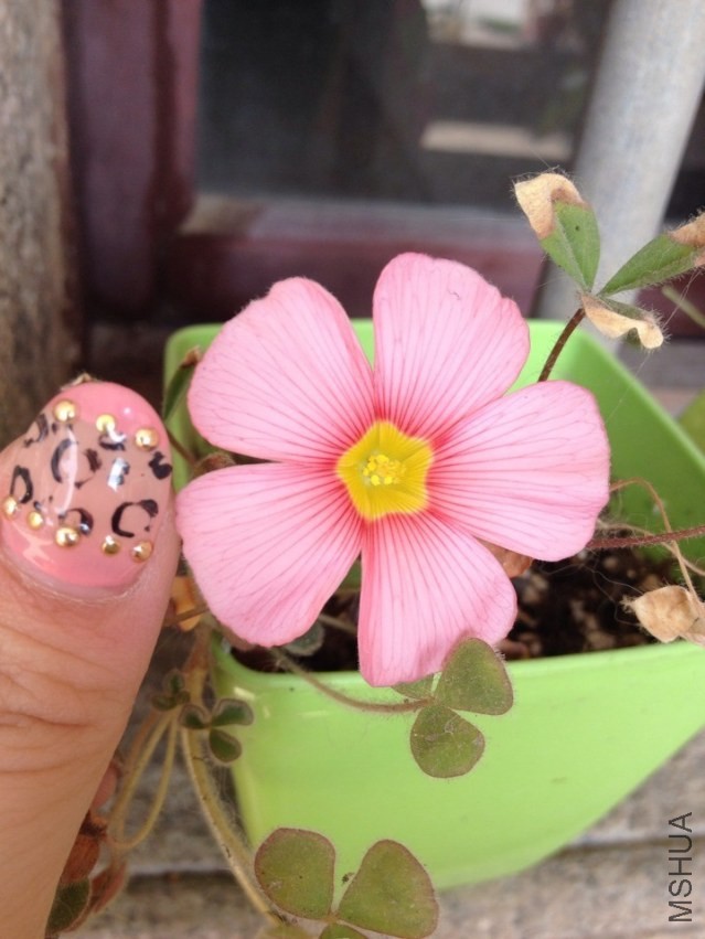 QQͼƬ20140205203819.jpg