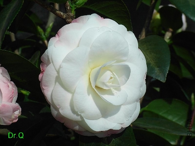1-.ָ�]��-5JPG.JPG