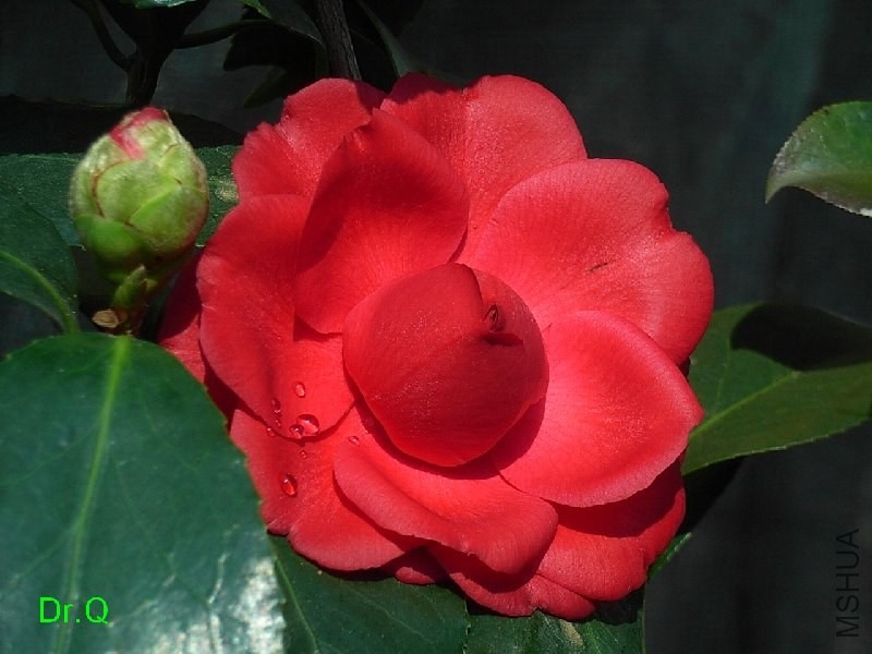 4��ؐ��-2.JPG