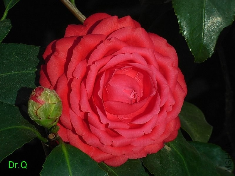 4��ؐ��-3.JPG