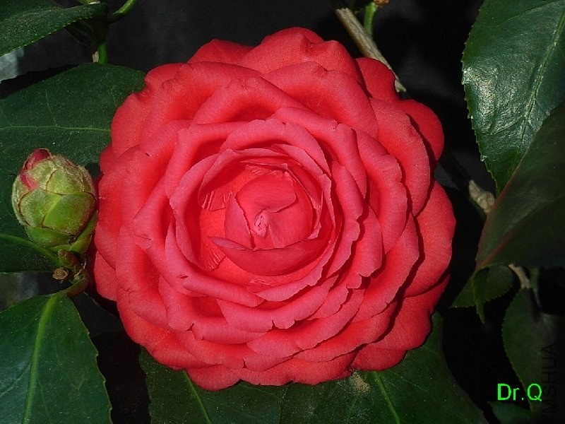 4��ؐ��-4.JPG