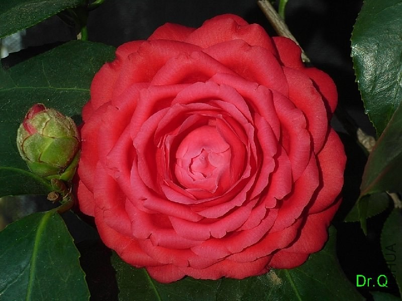 4��ؐ��-5.JPG