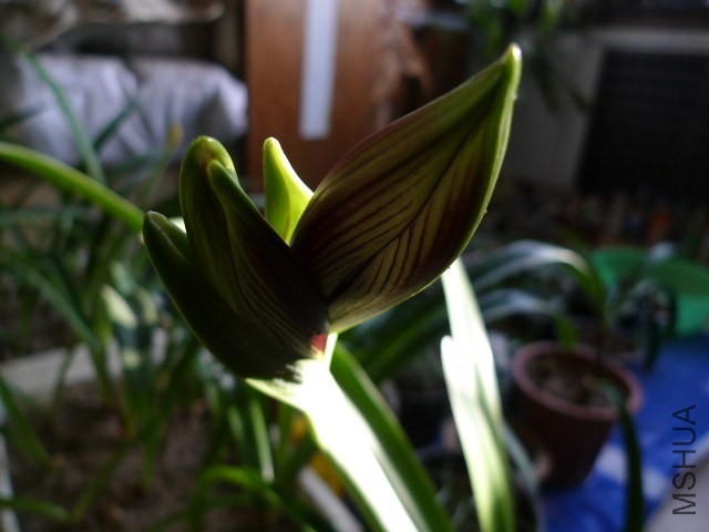 P1090277.JPG