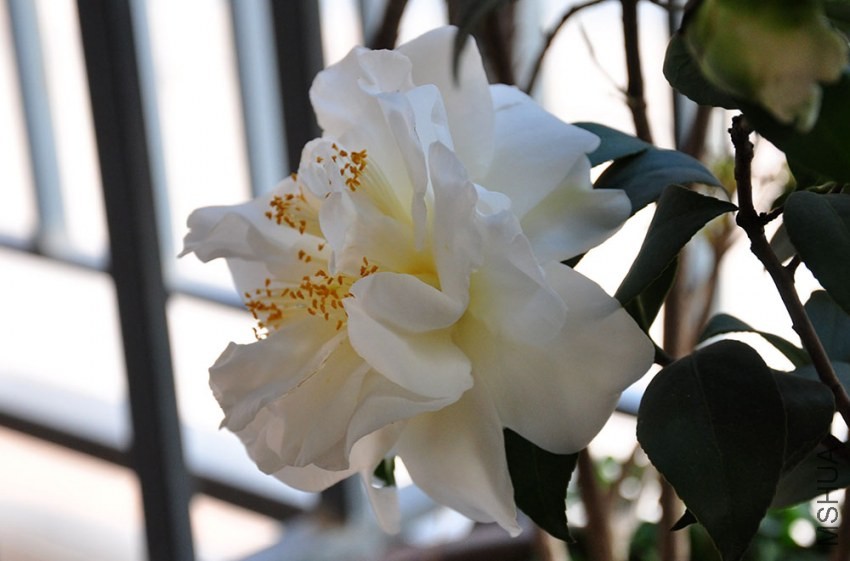 DSC_0774.JPG