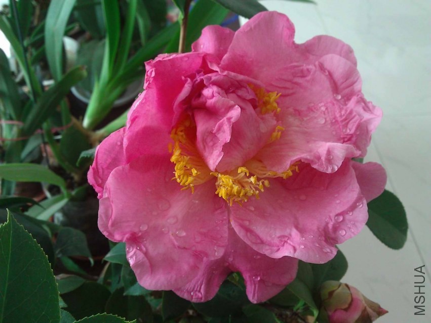 WP_002424.jpg