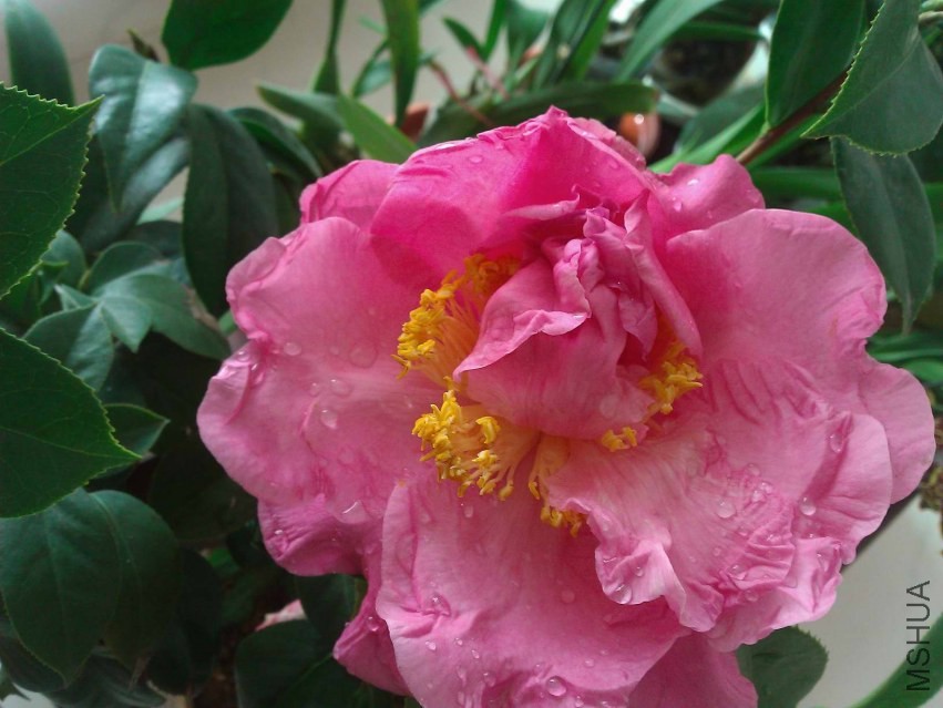 WP_002425.jpg