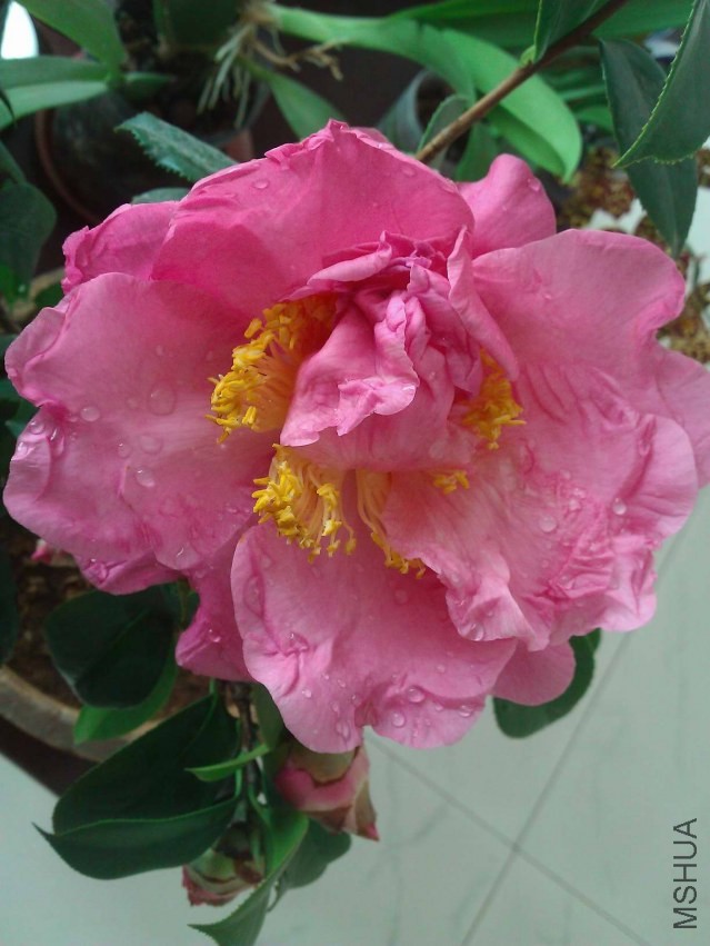 WP_002426.jpg