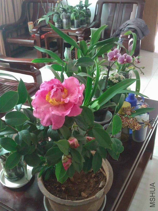 WP_002428.jpg