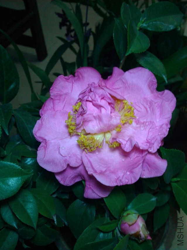 WP_002429.jpg