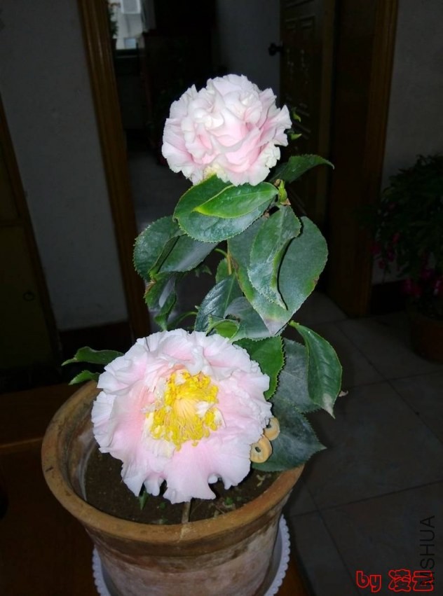 IMG_20140130_093222.jpg