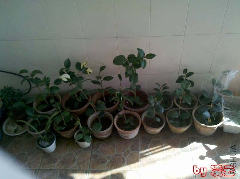 2013-04-06_15-43-51_741.jpg