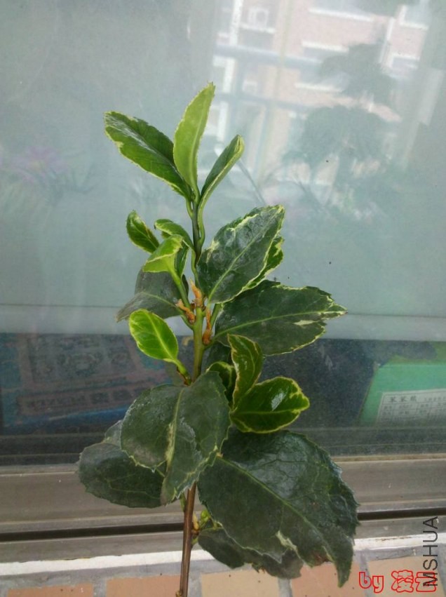 2013-05-17_06-57-42_705.jpg
