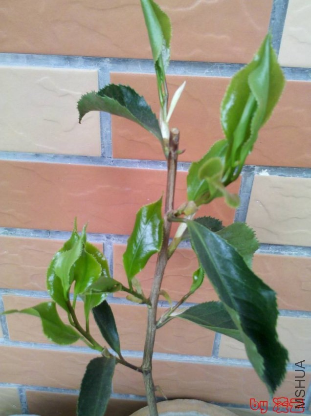 2013-04-17_11-18-10_780.jpg
