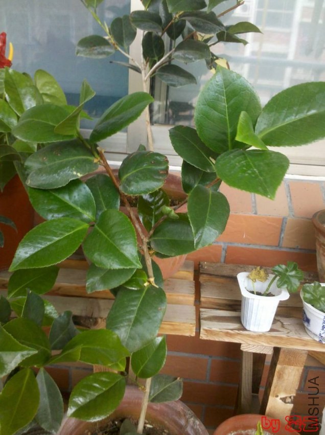 2013-05-17_06-58-01_758.jpg