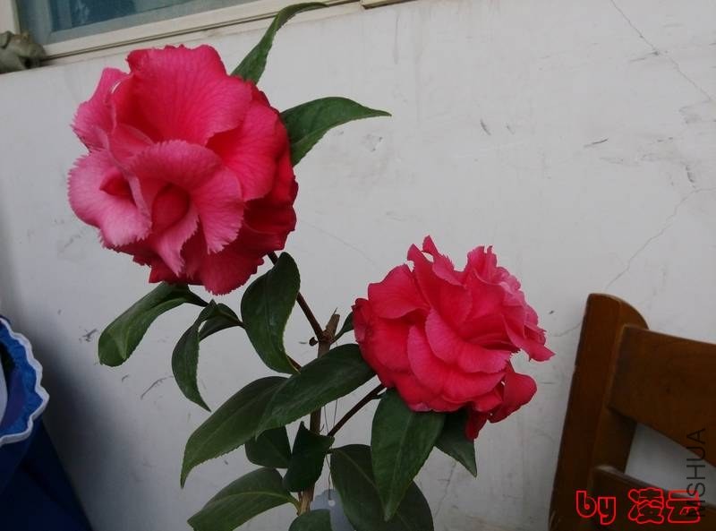 IMG_20140202_105438.jpg