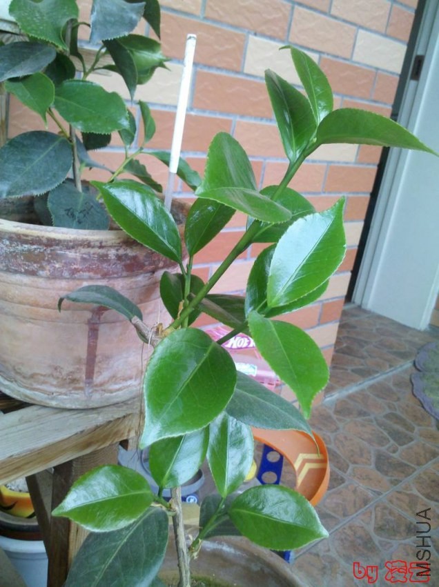 2013-05-17_06-57-09_437.jpg