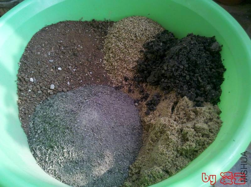 2013-03-17_15-10-26_93.jpg