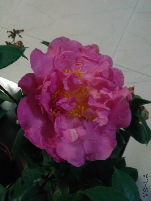 WP_002430.jpg
