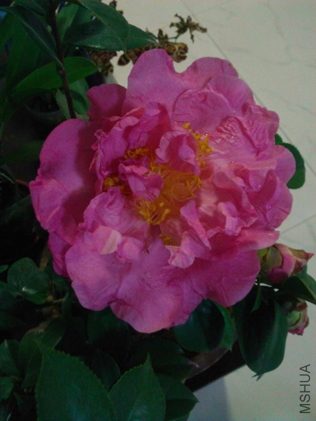 WP_002431.jpg