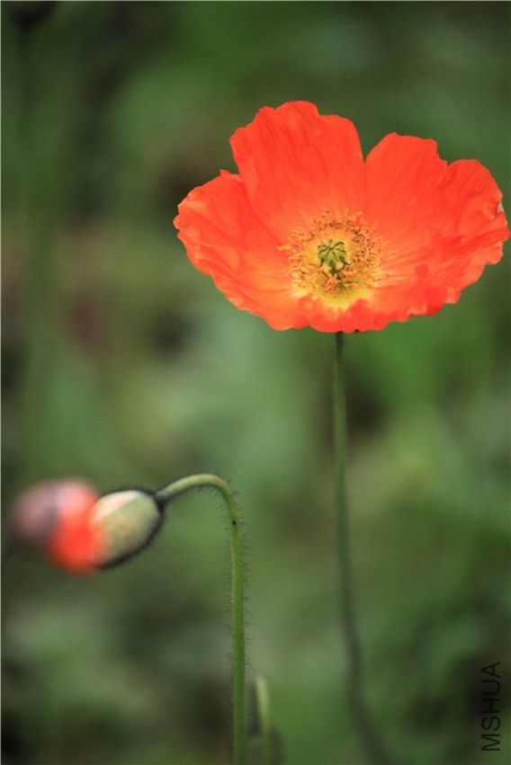 ������������� (11).JPG