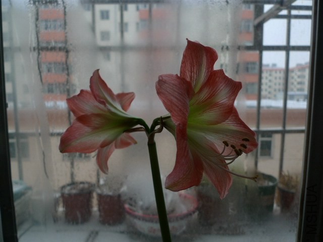 P1090315.JPG