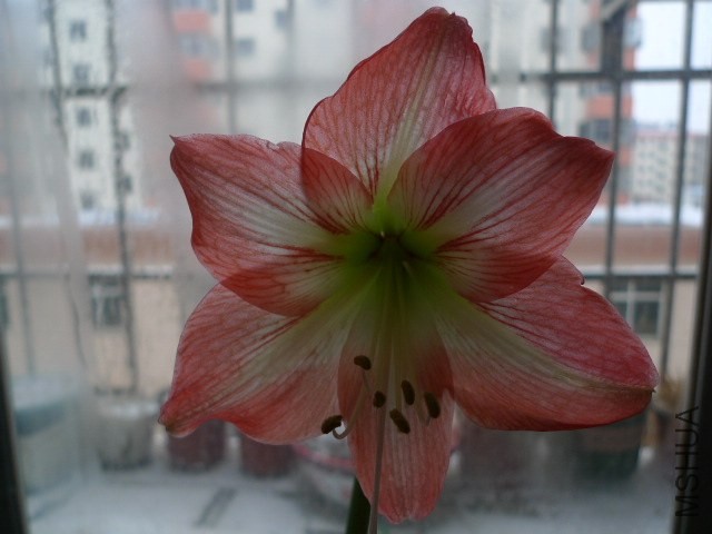P1090316.JPG