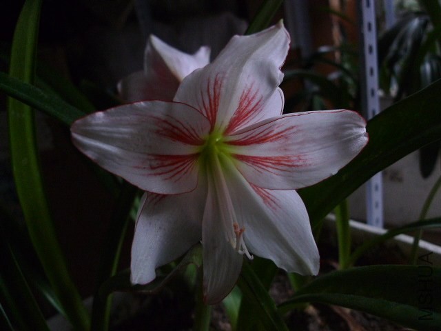 P1090311.JPG