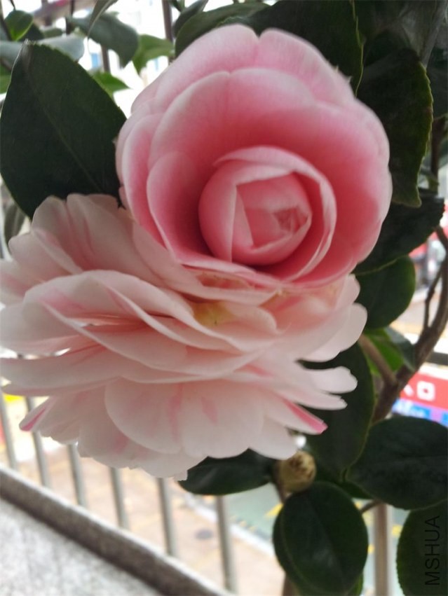 20140205_110031.jpg