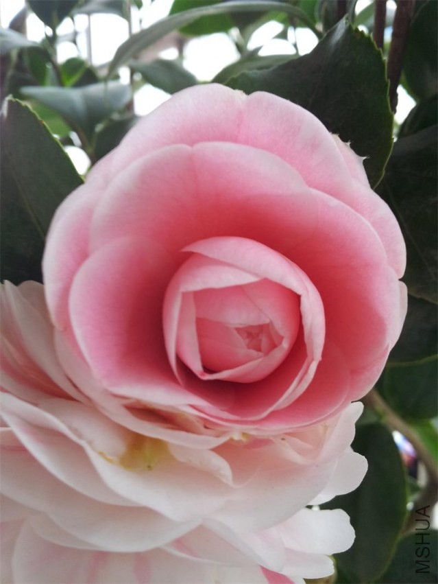 20140205_110118.jpg