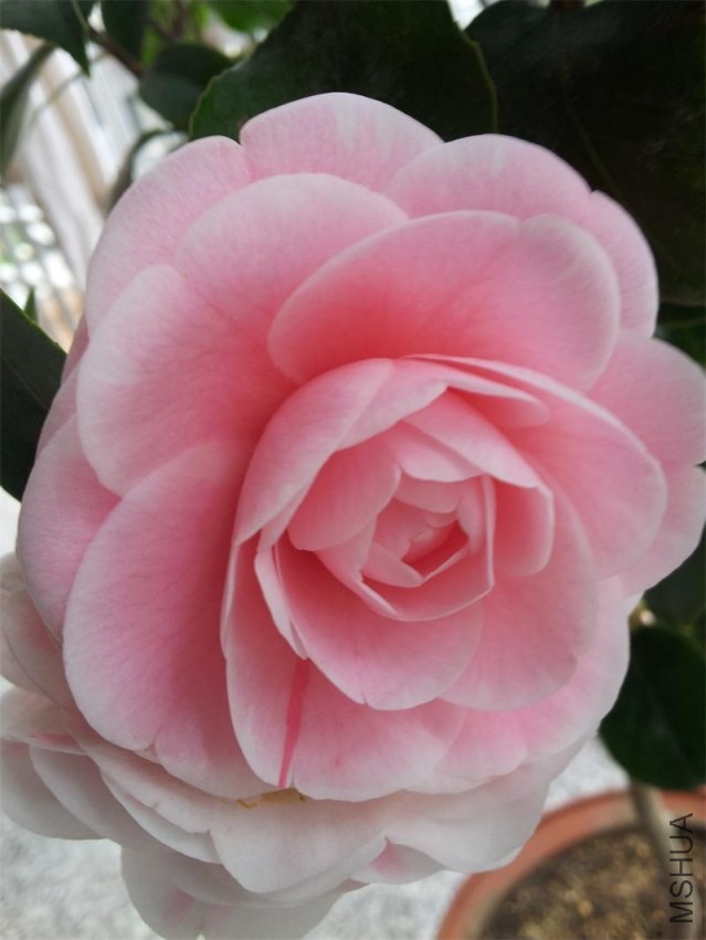 20140206_102101.jpg