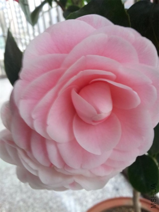 20140207_081551.jpg