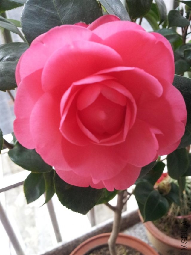20140207_081619.jpg
