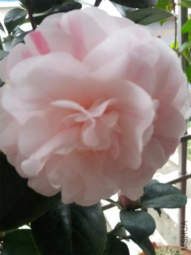 20140207_081721.jpg