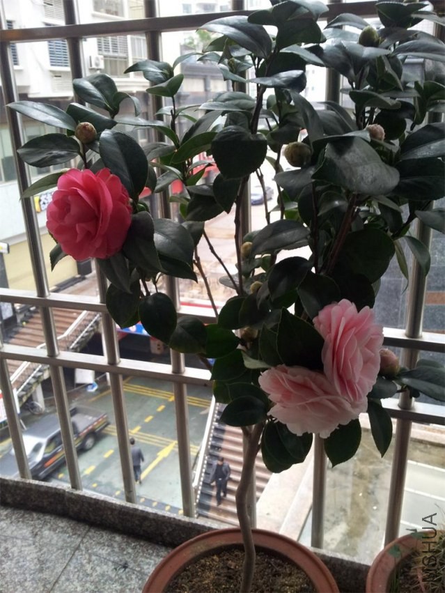 20140207_085550.jpg