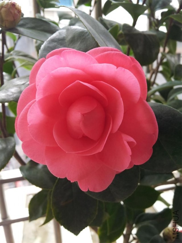 20140207_121926.jpg
