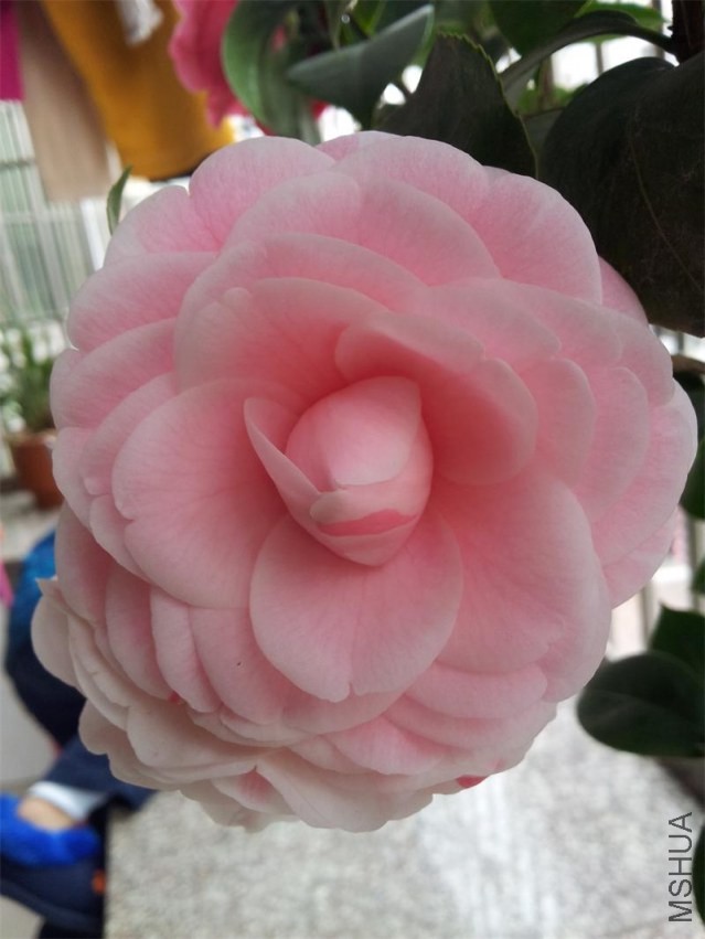 20140207_121947.jpg