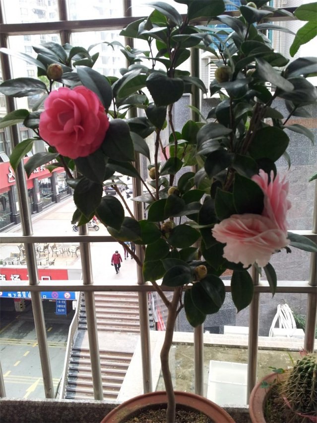20140207_130101.jpg