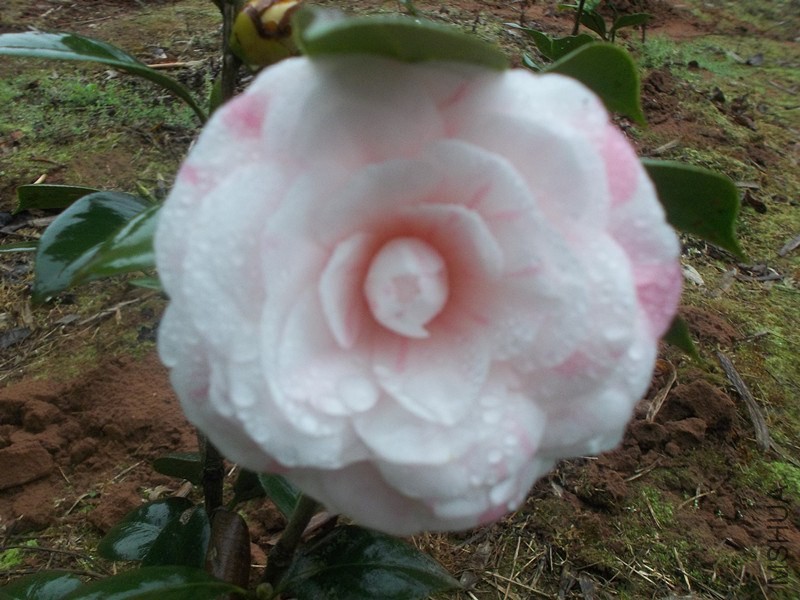 ��Ƭ 001_����.jpg