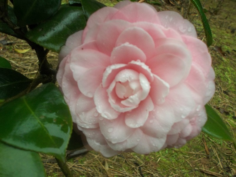 ��Ƭ 002_����.jpg