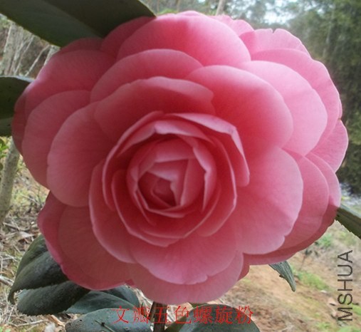 ��Ƭ 027_����.jpg