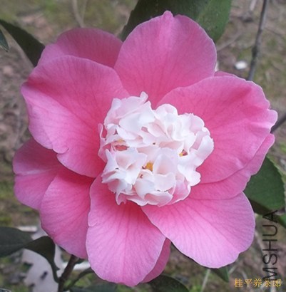 ��Ƭ 031_����.jpg