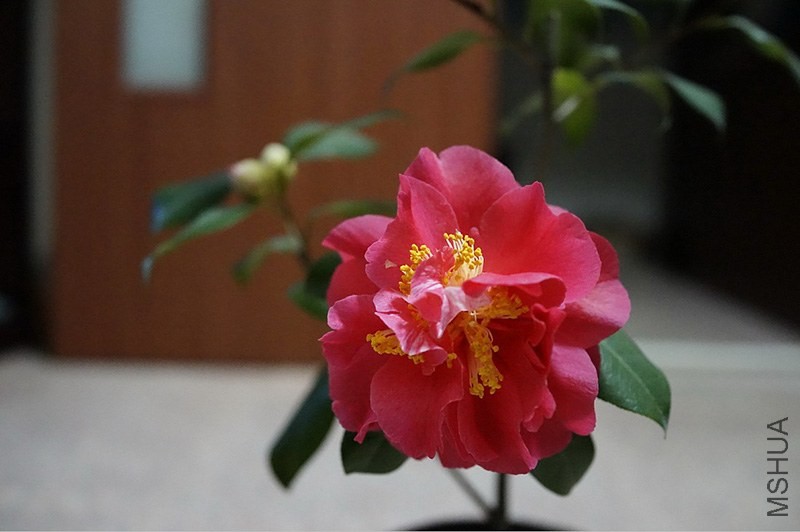 QQͼƬ20140207194249.jpg