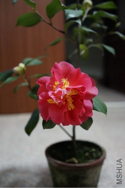 QQͼƬ20140207194256.jpg