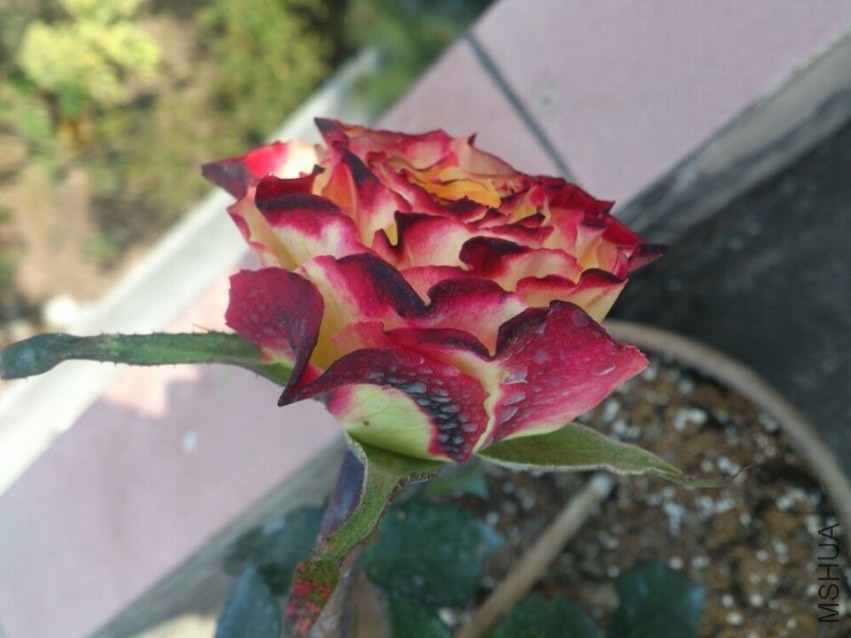 QQͼƬ20140207201337.jpg
