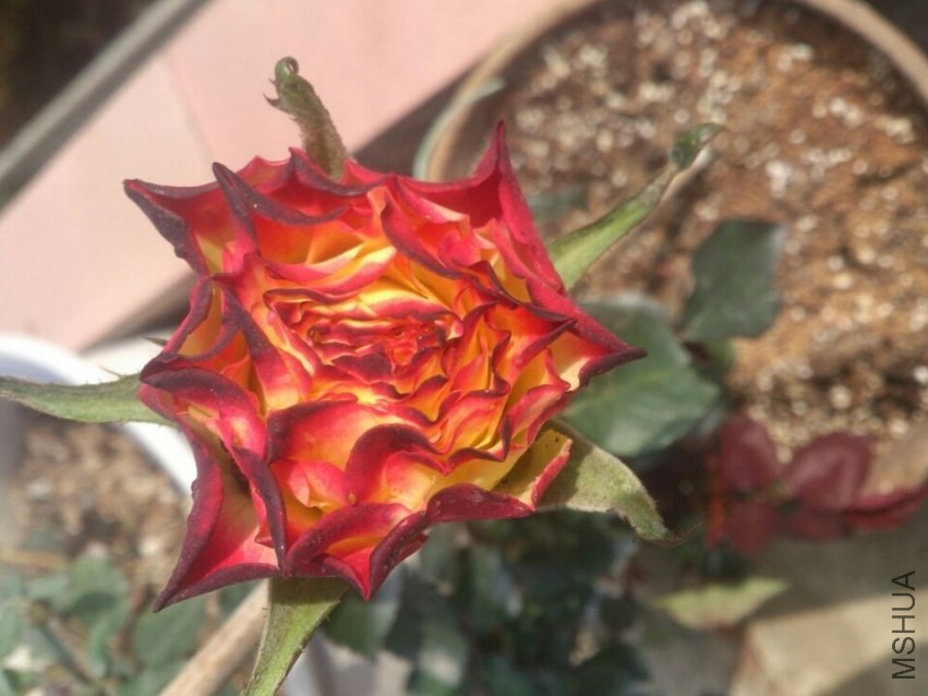 QQͼƬ20140207201353.jpg